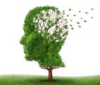Maladie d'Alzheimer : deux essais cliniques innovants vont être menés aux Etats-Unis