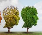 Maladie d'Alzheimer : les capacités cognitives varient avec les saisons