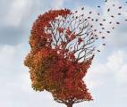 Maladie d’Alzheimer : une faiblesse en œstrogènes expliquerait sa plus grande fréquence chez les femmes