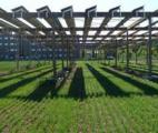 Améliorer l'efficacité énergétique de l'agriculture