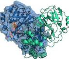 Aqemia conçoit de nouveaux médicaments grâce à la théorie quantique