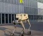 Bientôt des robots-chiens pour venir vous livrer chez vous