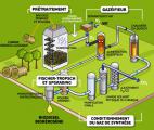 Biocarburants de deuxième génération : la voie lignocellulosique  