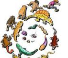 Biologie : l'évolution peut aussi être lamarckienne !