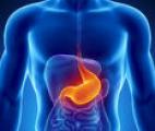 Cancer de l'estomac : le facteur bactérien présent dans neuf cas sur dix !