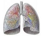 Cancer du poumon : un biocapteur pour le détecter à partir du souffle 