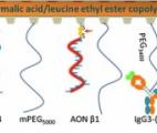 Cancer du sein : un nanomédicament à actions multiples