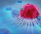 CANCER : Le composé qui fige les cellules tumorales