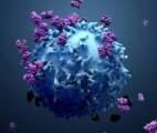 Cancer : résultats encourageant pour l' anticorps monoclonal anti-PD1 OSE-279