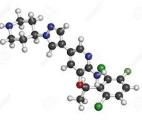 Cancer : vers une nouvelle classe de molécules qui bloquent les métastases