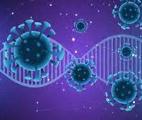 Cancers de l’enfant : un virus génétiquement modifié augmente l’espérance de vie