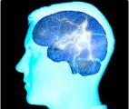 Cerveau : identification d'un "interrupteur" responsable de l'épilepsie