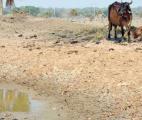 Cet homme qui a inventé l'eau solide