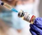 Chikungunya : un vaccin vivant très efficace et en voie d’autorisation