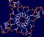 Cibler les quadruplexes d’ADN pour ralentir le vieillissement