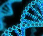 Comment améliorer le stockage des données numériques sur ADN