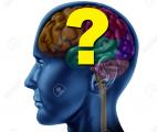 Comment le cerveau imagine les conséquences de nos décisions ?
