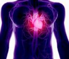 Comment le monoxyde d'azote produit par les globules rouges protège le cœur !