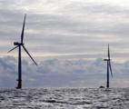 Cultiver des micro-algues au pied des éoliennes en mer ?