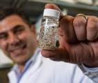 Des « micro-usines moléculaires » implantables pour combattre les cancers difficiles