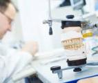 Des chercheurs anglais font pousser des dents en laboratoire