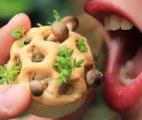 Des chercheurs français et brésiliens réalisent une avancée vers la nourriture par impression 3D
