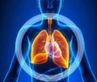 Des chercheurs français progressent dans le traitement de l’hypertension artérielle pulmonaire