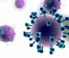 Des enzymes cellulaires contre la grippe saisonnière 