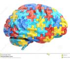 Des espaces élargis dans le cerveau des bébés sont liés à un risque plus élevé d'autisme