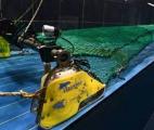 Des filets de pêche intelligents pour réduire les captures inutiles