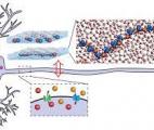 Des ions dans les neurones artificiels