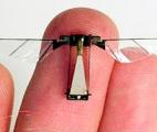 Des micro-robots pouvant sauter comme des insectes