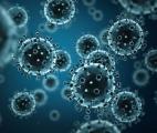 Des nano-balances pour peser des virus