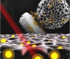 Des nano-vecteurs multitâches combinant imagerie et traitement pour les cancers