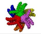 Des nanocapteurs à base d'ADN pour observer les facteurs de transcription