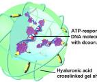 Des nanoparticules contre le cancer