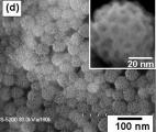 Des nanoparticules de fer contre le cancer