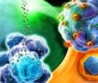 Des nanoparticules utilisées pour combattre les maladies neurodégénératives