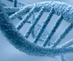 Des «nanotransporteurs» d’ADN pour traiter le cancer