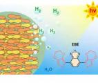 Des photocatalyseurs organiques pour la production durable d’hydrogène vert