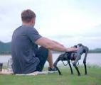 Des robots-chiens pour guider les aveugles