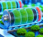Des scientifiques chinois ont conçu une batterie alimentée par des bactéries