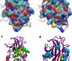 Détecter le cancer en cherchant la trisomie 21