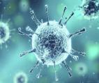 Détecter le Coronavirus dans l’environnement…