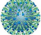 Deux signatures permettent de distinguer infections virales et bactériennes et la grippe 
