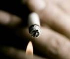 Du tabac à l'athérosclérose : un lien génétique qui se dévoile