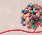 Cancer et système nerveux : un lien étonnant mais puissant se révèle