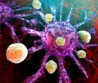 Ces virus qui provoquent le cancer...et qui le soignent...