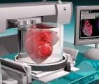 La bio-impression d'organes pourrait devenir une réalité d'ici 2035