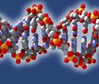 La connaissance scientifique bascule dans une nouvelle ère : la vie recréée